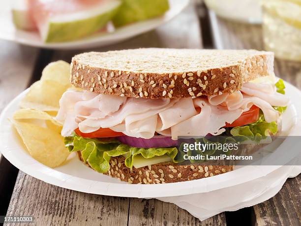 turkey sandwich at a picnic - papieren bord stockfoto's en -beelden