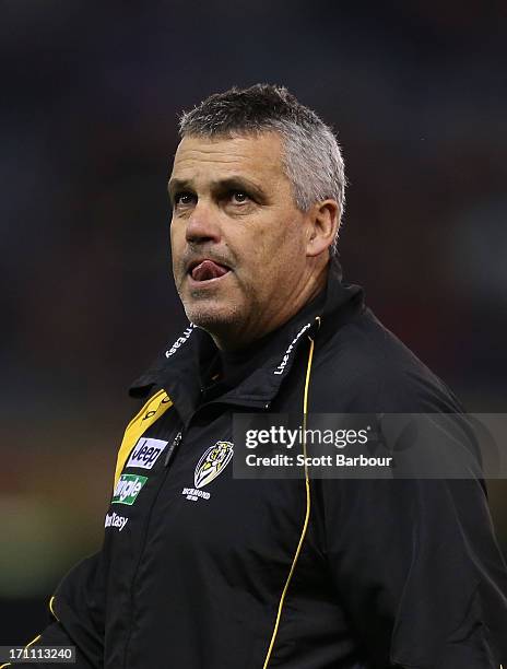 Mark Williams the assistant coach of the Tigers looks on during the round 13 AFL match between the Western Bulldogs and the Richmond Tigers at Etihad...