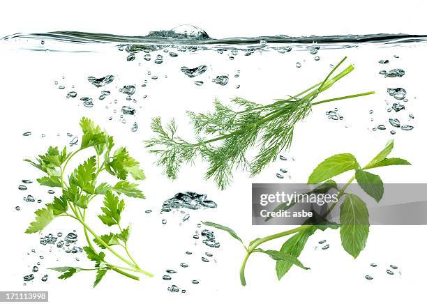 vegetables underwater - aquatic therapy stockfoto's en -beelden