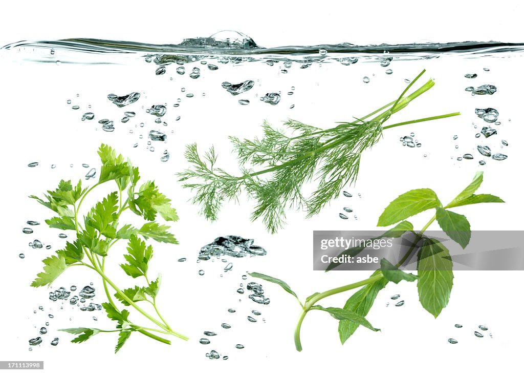 Vegetables Underwater