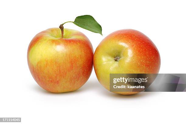 2 Pommes Rouges 510 466 Apple Photos et images haute résolution - Getty Images