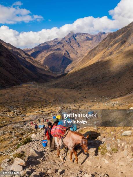 trekking salcantay mountain, peru - vilcabamba peru 個照片及圖片檔