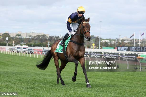 Emissary on the way to the barriers prior to the running of the TAB Turnbull Stakes at Flemington Racecourse on October 07, 2023 in Flemington,...