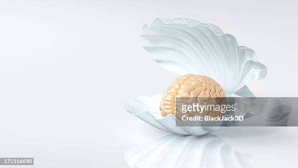 o cérebro humano é uma pérola da humanidade - oyster shell - fotografias e filmes do acervo