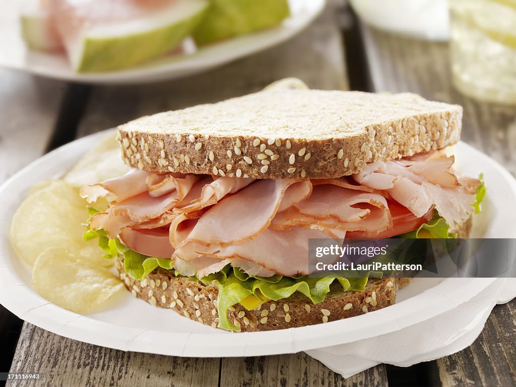 Ham and Cheese Sandwich at a Picnic