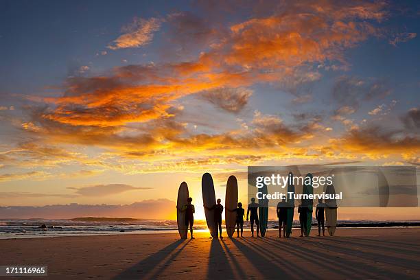 longboard sunrise - surfbräda bildbanksfoton och bilder