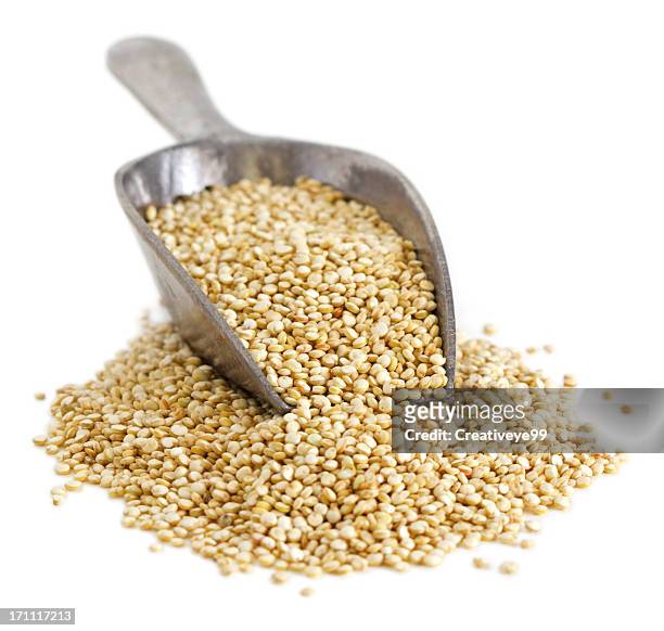 quinoa - quinoa foto e immagini stock