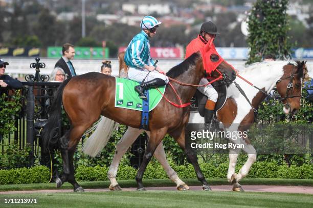 Romantic Warrior ridden by James McDonald in the mounting yard prior to the running of the TAB Turnbull Stakes at Flemington Racecourse on October...