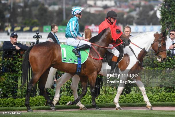 Romantic Warrior ridden by James McDonald in the mounting yard prior to the running of the TAB Turnbull Stakes at Flemington Racecourse on October...