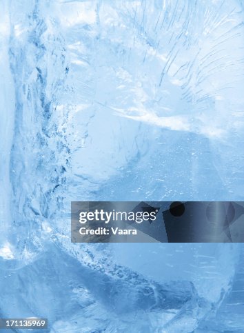 Inside the Ice Inside the Ice