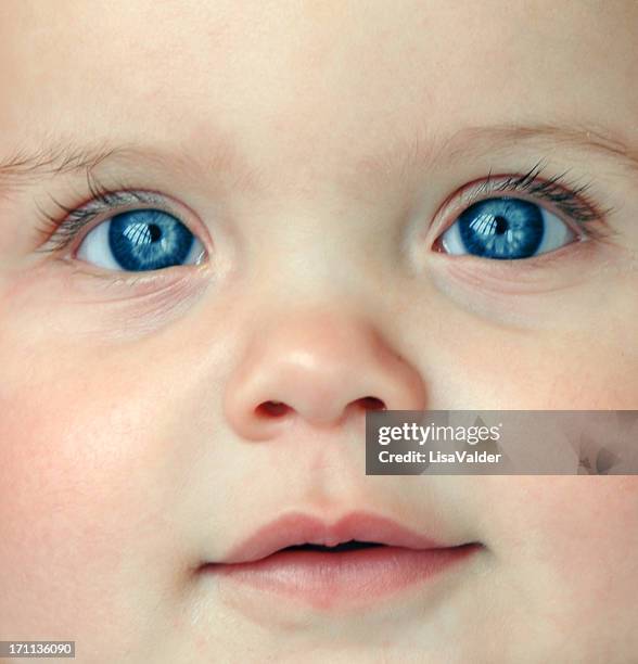 close-up of a baby's face and blue eyes - blue eyes stock pictures, royalty-free photos & images