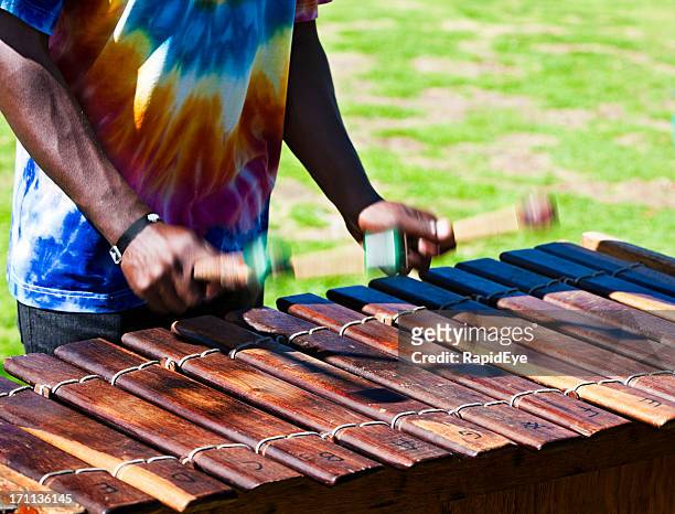 marimba-musiker - marimbafon stock-fotos und bilder