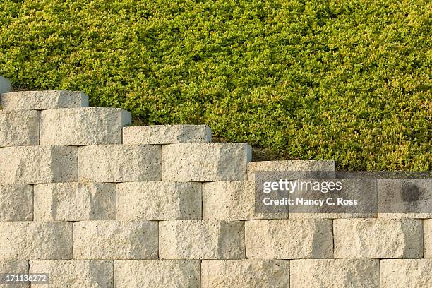 retaining wall and plantings above, background, pattern, diagonal - nancy green stockfoto's en -beelden