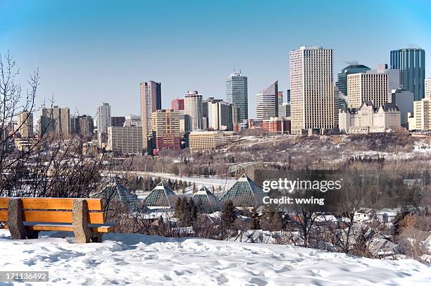 edmonton escena de invierno - edmonton fotografías e imágenes de stock