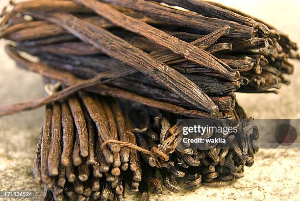 vanillabeans many vanilla beans - viele vanielleschoten - stick beans stock pictures, royalty-free photos & images