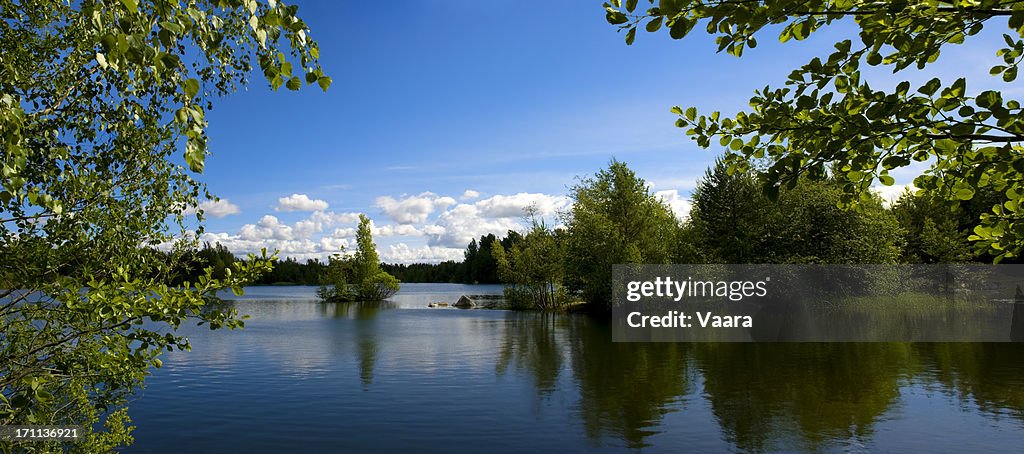 Summer by the Lake