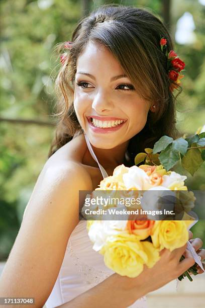 wedding day - bride smiling stock pictures, royalty-free photos & images