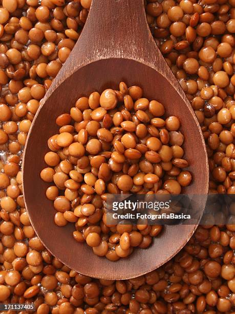 soaked lentils - linze stockfoto's en -beelden