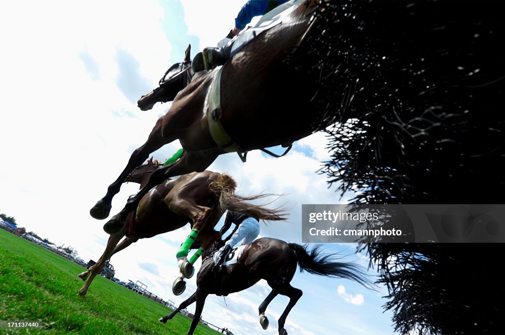 Low angle view of Horse Racing - Steeplechase