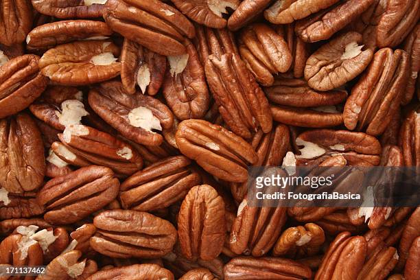 pecan nuts background - pecan nut stock pictures, royalty-free photos & images