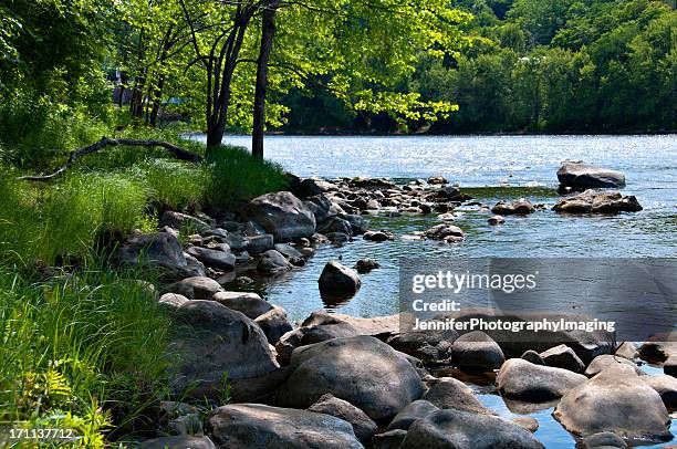 beautiful riverbank - minnesota river stock pictures, royalty-free photos & images