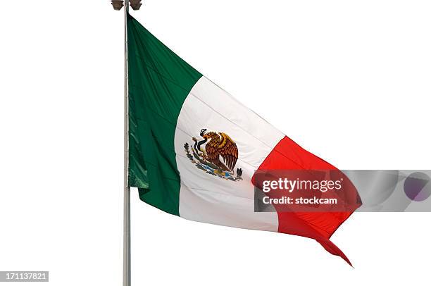 isolated flag of mexico - mexico flag stock pictures, royalty-free photos & images