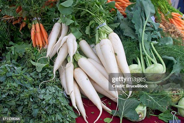 daikon radish - dikon radish stock pictures, royalty-free photos & images