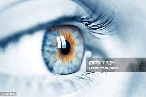 blue eye - blue iris eye stock pictures, royalty-free photos & images