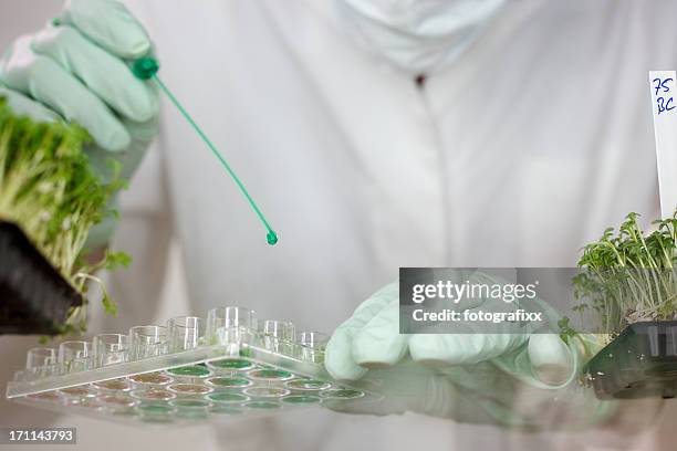 Botany Laboratory Photos and Premium High Res Pictures - Getty Images