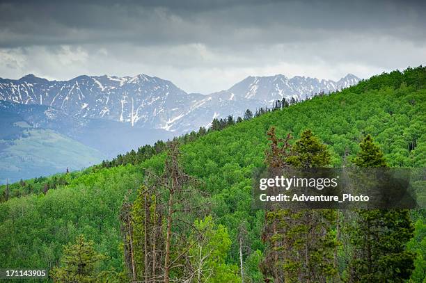 Lush Ridge 240 Vail Peaks Stock Photos, High-Res Pictures, and Images - Getty Images