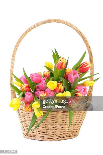 tulipas de primavera coloridos em uma cesta de vime isolado no branco - easter basket - fotografias e filmes do acervo