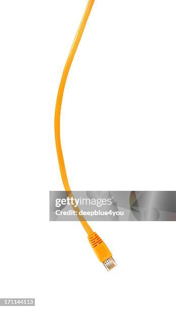 hanging down network cable on white - computer cable stock pictures, royalty-free photos & images