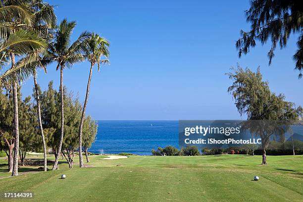 campo da golf tropicale - tee box foto e immagini stock