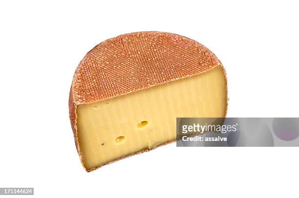 schweizer käse-rad mit ant - käselaib stock-fotos und bilder
