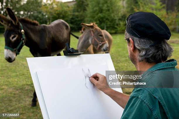 artist sketching in park - mule drawn stock pictures, royalty-free photos & images