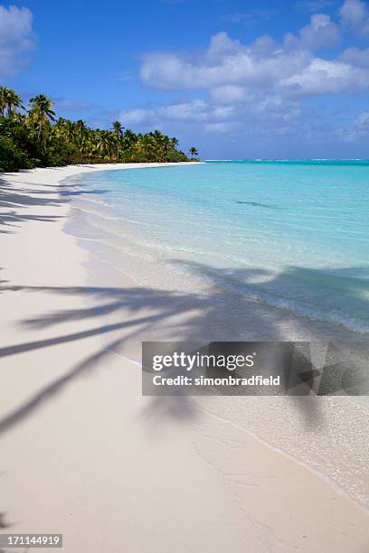 palm shadow - aitutaki stock pictures, royalty-free photos & images