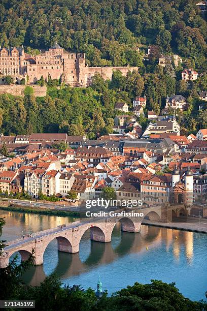 air view of old bridge and castle in heidelberg germany - heidelberg germany stock pictures, royalty-free photos & images
