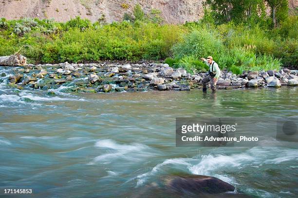 man fly fishing in scenic mountain canyon - eagle river stockfoto's en -beelden