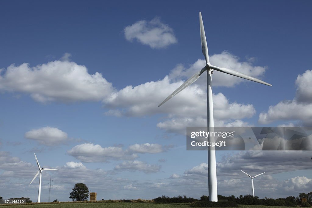 Wind turbines in the summer landscape