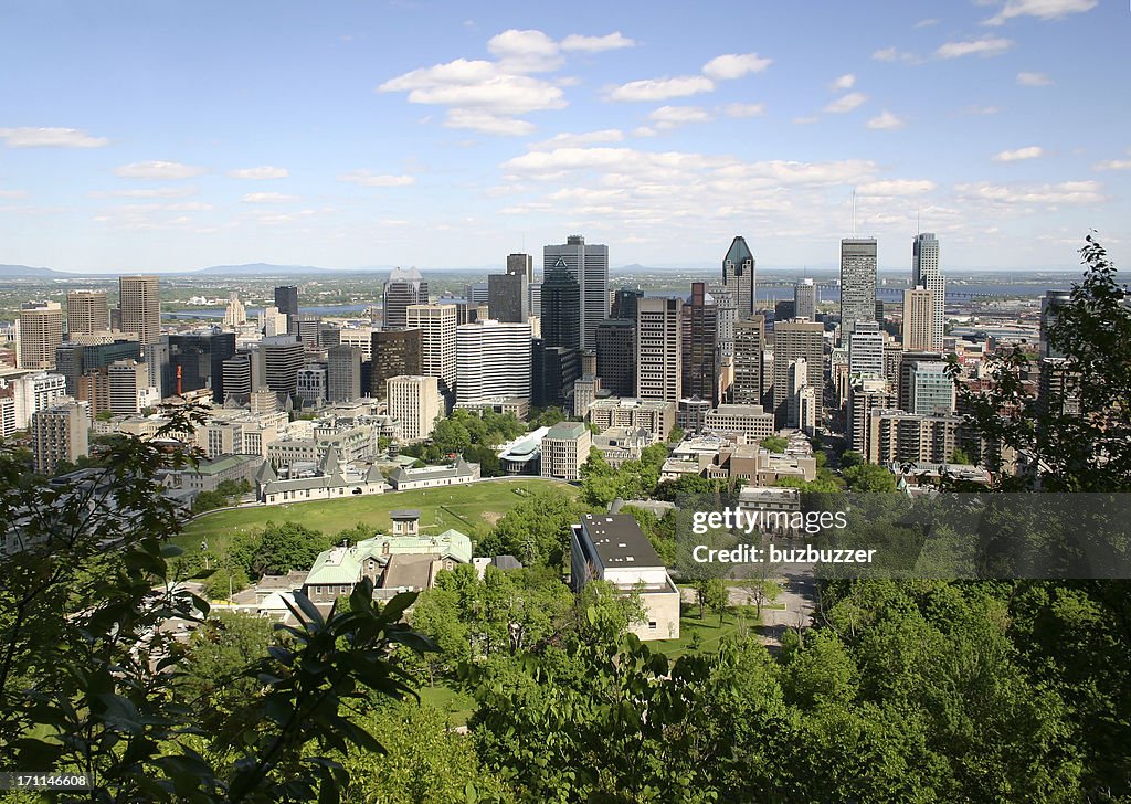 Summer in Montreal city