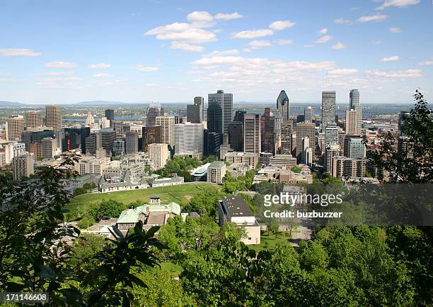 summer in montreal city - montréal stock pictures, royalty-free photos & images
