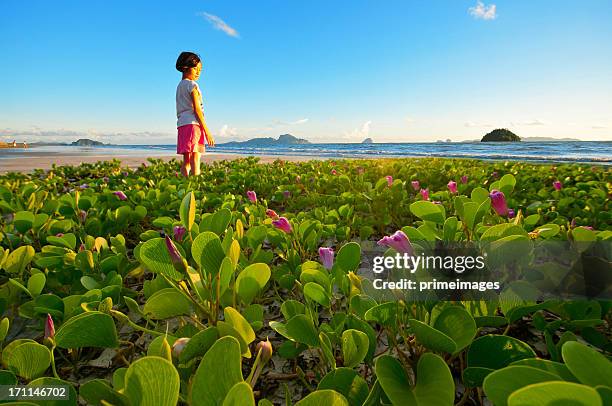 little girl on the beach - child silhouette ocean stock pictures, royalty-free photos & images