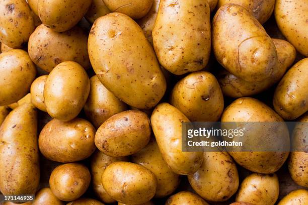 potatoes - nieuwe aardappel stockfoto's en -beelden