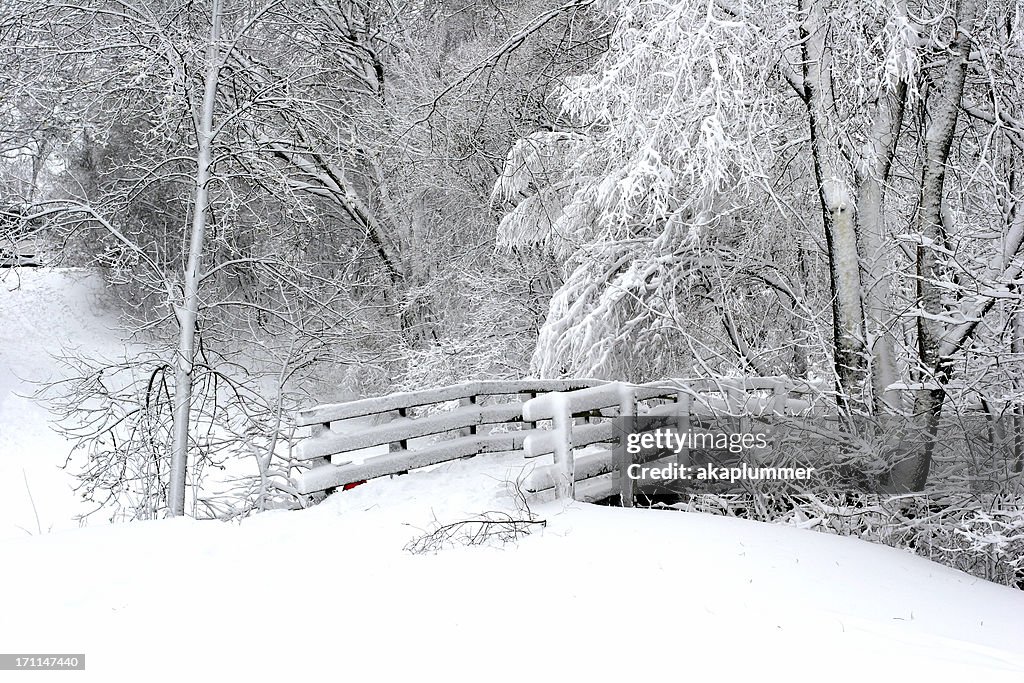 Eingabe Winter-Wunderland