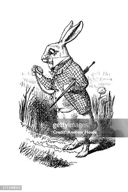 Punctual Rabbit Ilustraciones, imágenes clip art, dibujos animados e iconos de stock de ...