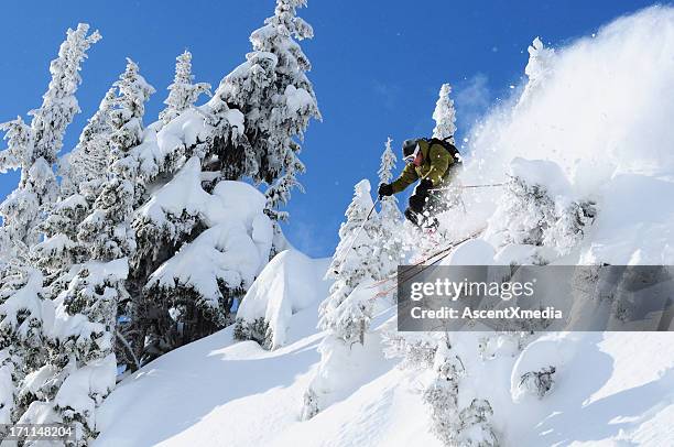 extreme skiing - heli skiing stock pictures, royalty-free photos & images