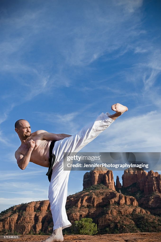 Martial Arts Kick