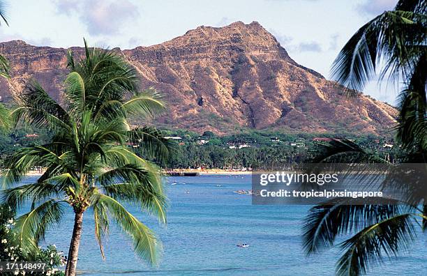 usa hawaii o'ahu, waikiki and diamond head. - 鑽石山 個照片及圖片檔