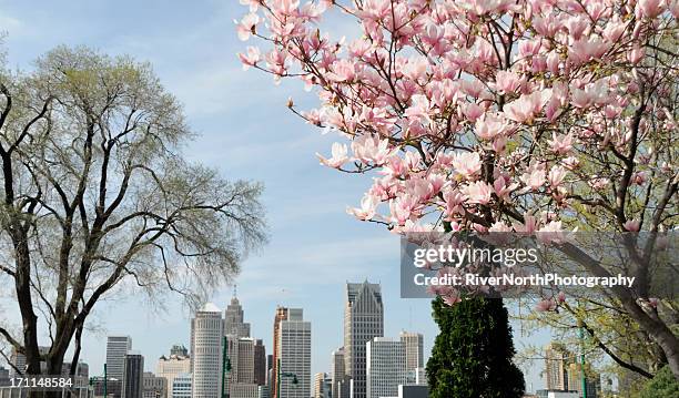 detroit skyline in spring - detroit stock pictures, royalty-free photos & images