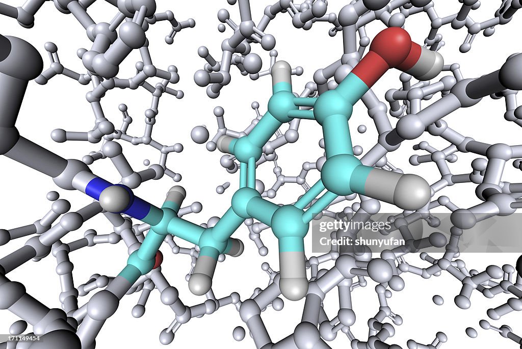 Amino Acid Tyrosine